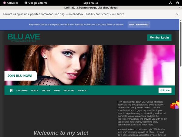 Account Free For Ladiiblu13.modelcentro.com