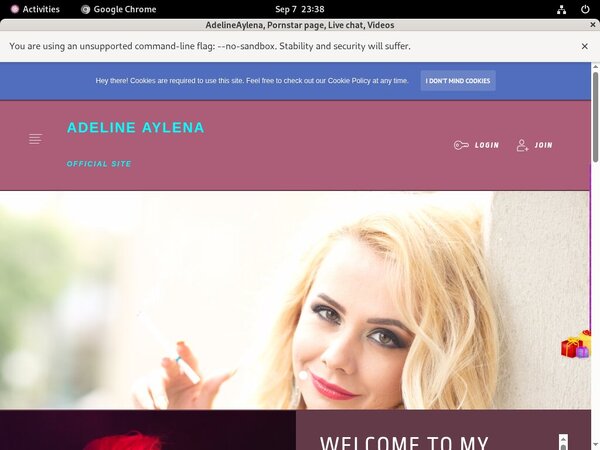 AdelineAylena Using Discount