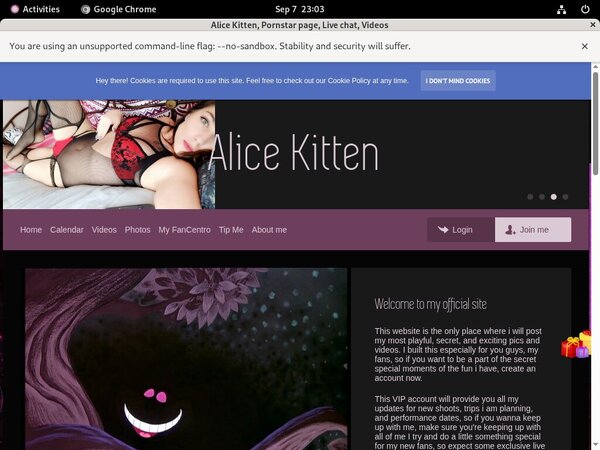 Alicekitten.modelcentro.com Parola D'ordine