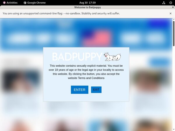 Badpuppy.com Credits