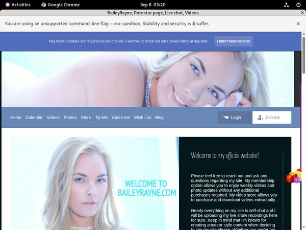 Baileyrayne.com With AOL Account