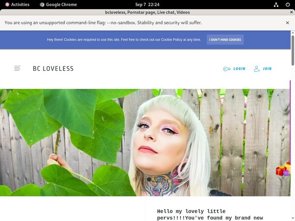 Bcloveless Checkout