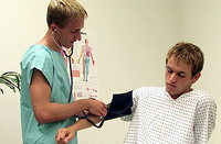 Beddable Boys Porn Stars s2