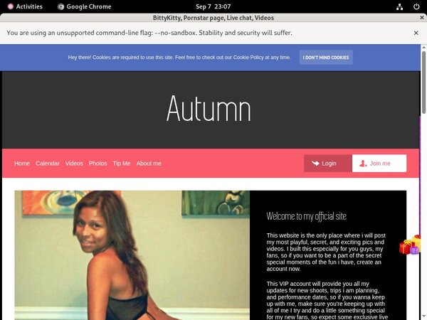 BittyKitty Account Password