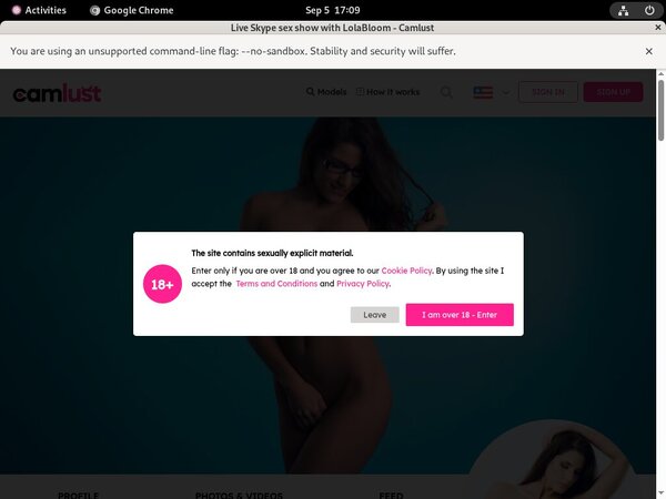 Camlust.com Id Password