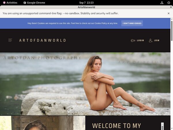 Discount Artofdanworld Com