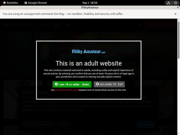 Filthy Amateur Porn Stars