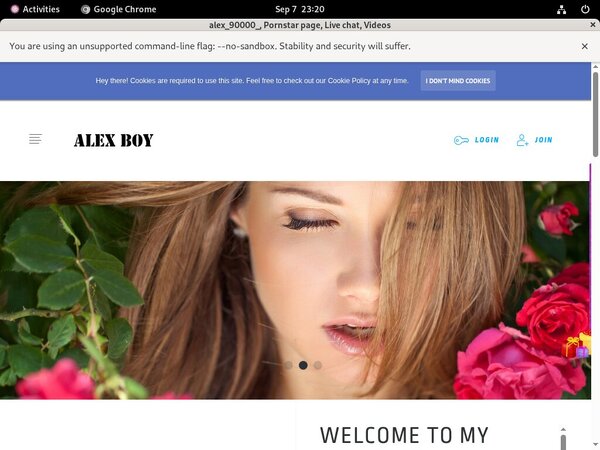 Free Alex90000.modelcentro.com Subscription