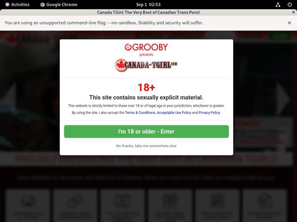 Free Logins For Canada-tgirl.com