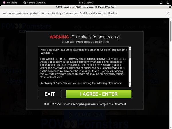 Free POV Pornstars Login Accounts