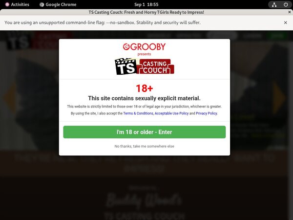 Free TS Casting Couch Login