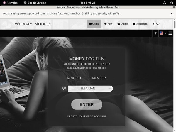 Free Webcam Models Premium Accounts
