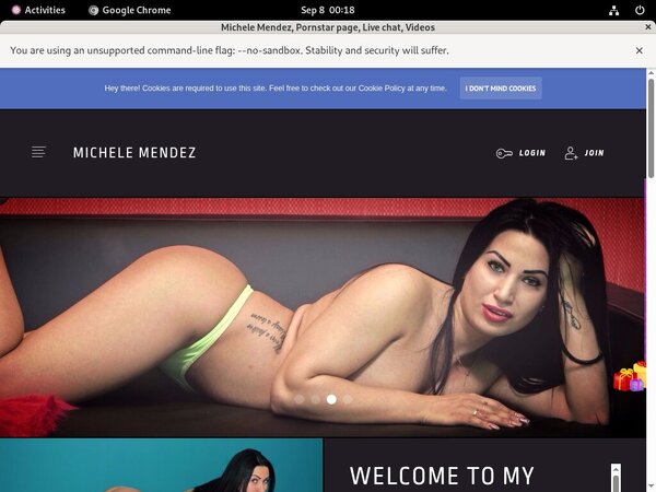Free Working Michelemendez.modelcentro.com Accounts
