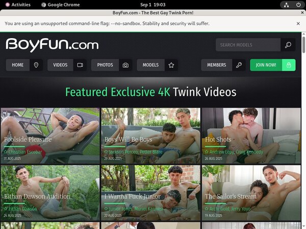 Fun Boy Coupon