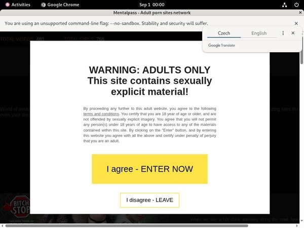 How To Get Mentalpass Account