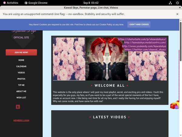 Kawaiiskye.modelcentro.com Site Rip Kawaiiskye.modelcentro.com Site Rip