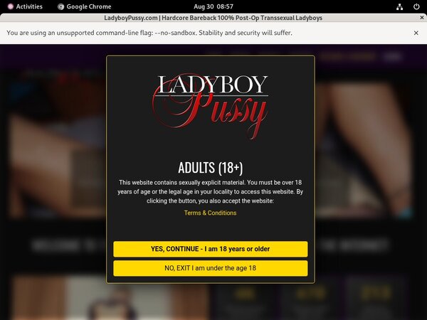 Ladyboy Pussy Coupon Deal