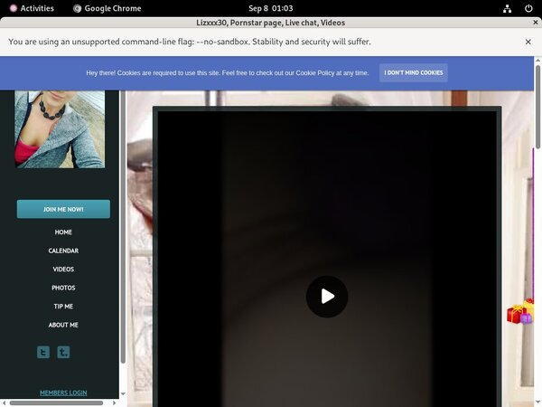 Lizxxx30 Site Passwords