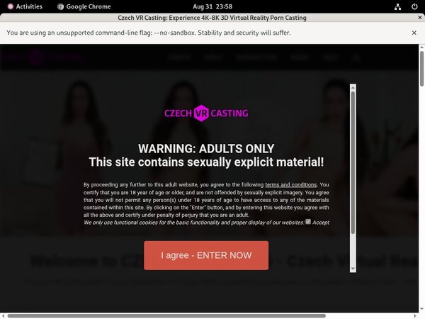 Login To Czech VR Casting Free