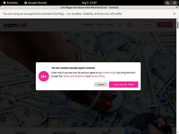 Logins For Camlust.com Free