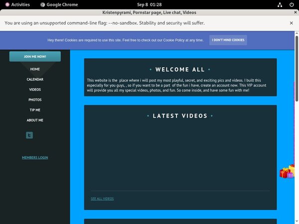 Logins For Kristenpyrami Free