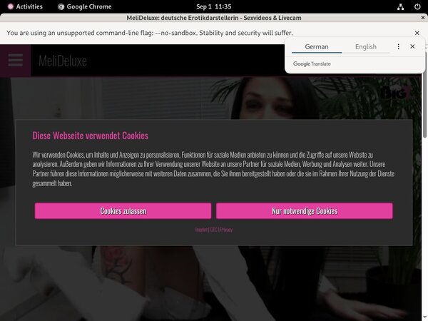 MeliDeluxe Free Login Password