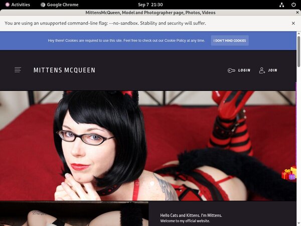 Mittensmcqueen.com Accept Paypal