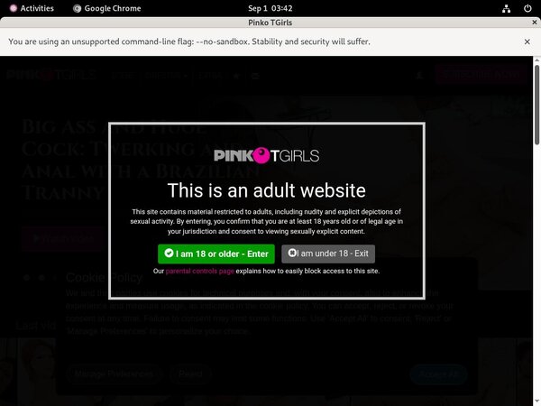 Pinkotgirls.com Accounts And Password