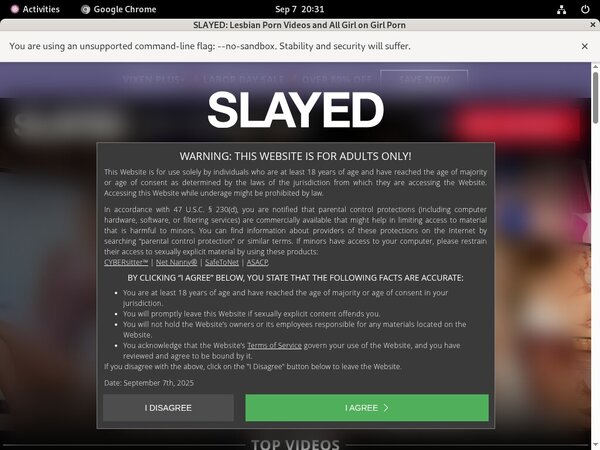 Premium Slayed Passwords