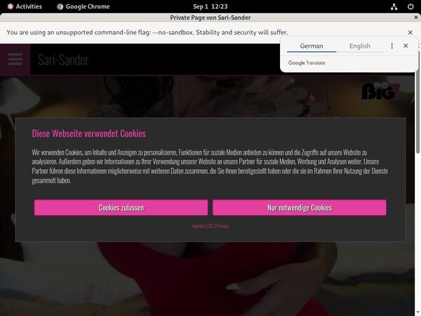 Sari Sander Limited Promotion