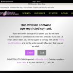 Silver Sluts Login Information