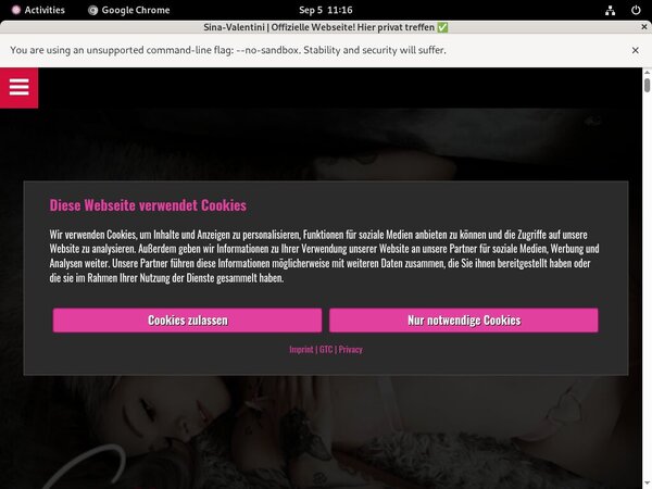 Sina Valentini Ccbillpay