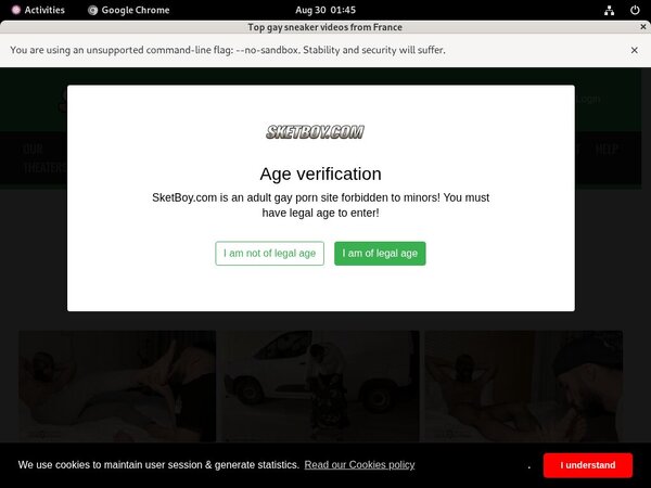 Sketboy Website Password