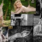 Subspace Land Free Sign Up