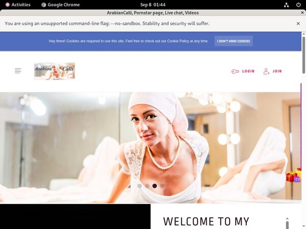 Arabiancalli.modelcentro.com Webcams