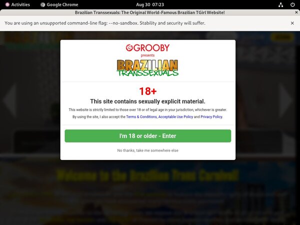 Brazilian Transsexuals Account Premium Free