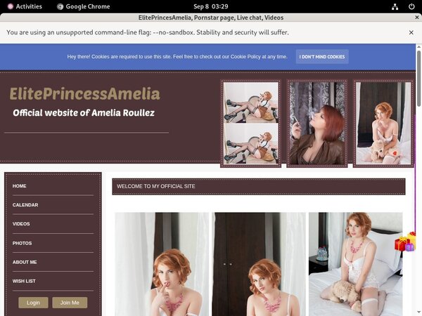 Eliteprincessamelia.modelcentro.com Network Login