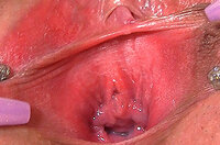 Gape My Pussy Cuentas Gratis s2