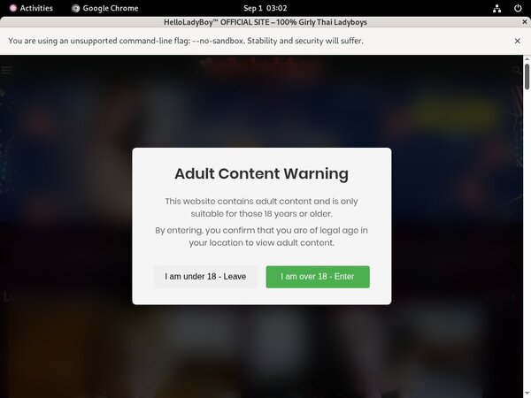Hello Ladyboy Porn Passwords