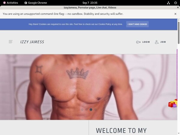 IzzyJamess Site Passwords