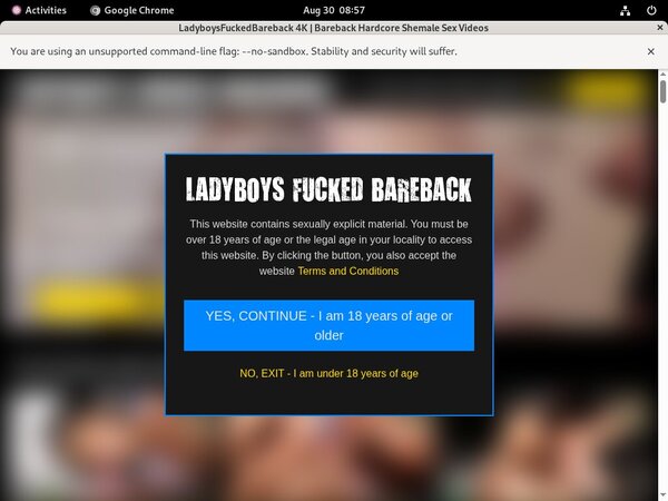 Ladyboys Fucked Bareback Login And Password