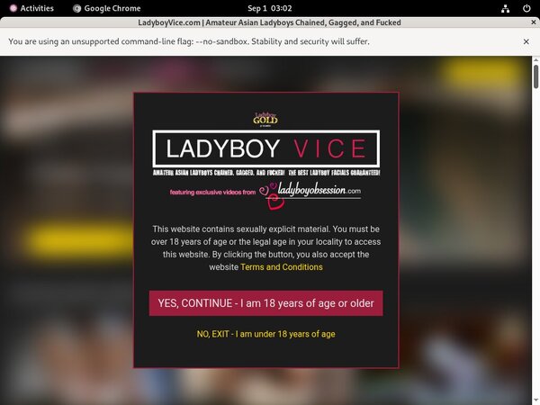 Ladyboyvice Join Anonymously