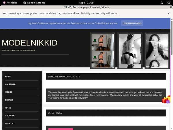Login ModelNikki