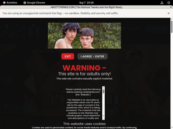 Nastytwinks.com Discount Username