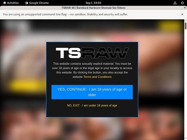 TS Raw Porn Sex