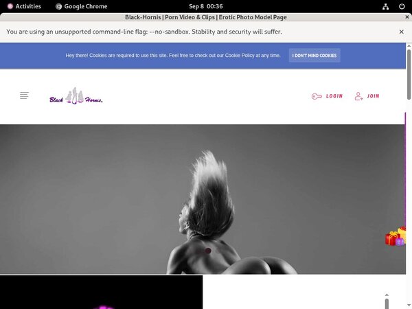 BLACKHORNIS Epoch Payment BLACKHORNIS Epoch Payment