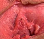 Gapemypussy.com Free Trial Pw