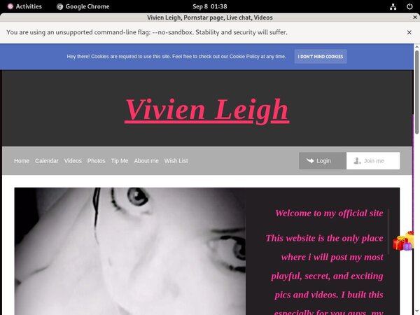 Vivienleighandme.modelcentro.com Yearly Membership