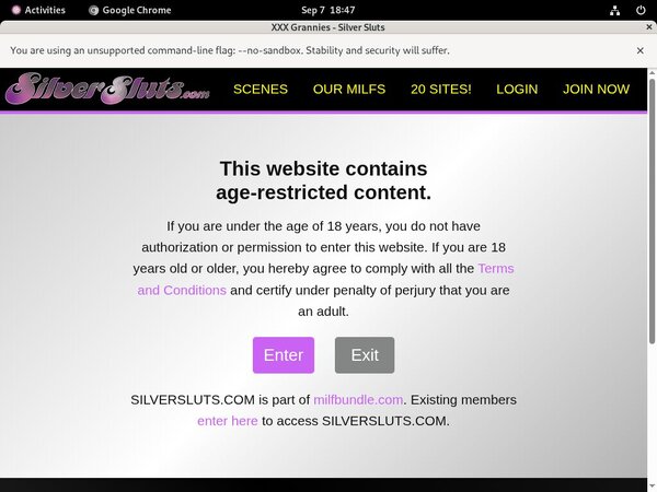 Silversluts.com Password Hack